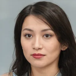 Lê Minh Cường avatar